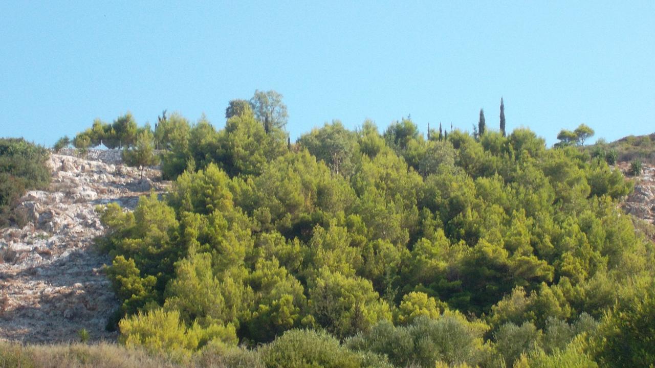 הוילה Agalás Lithahiro Stone House מראה חיצוני תמונה